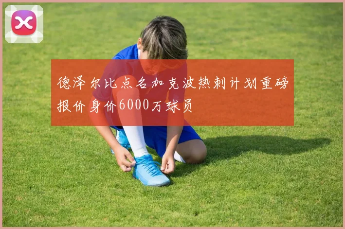 德泽尔比点名加克波热刺计划重磅报价身价6000万球员